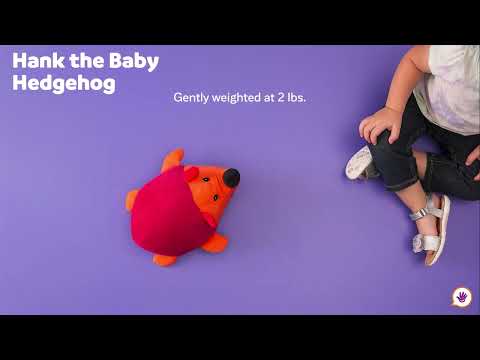Hank the Baby Hedgehog - Weighted Plushie