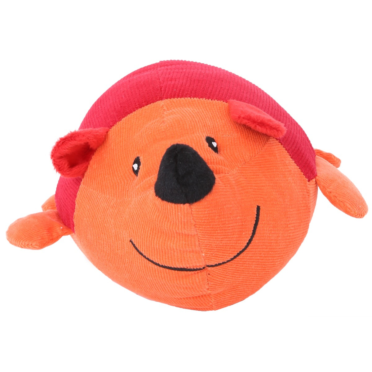 Hank the Baby Hedgehog