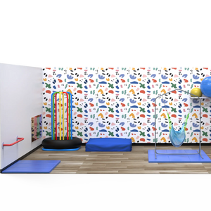 Therapeutic Sensory Room - Basic