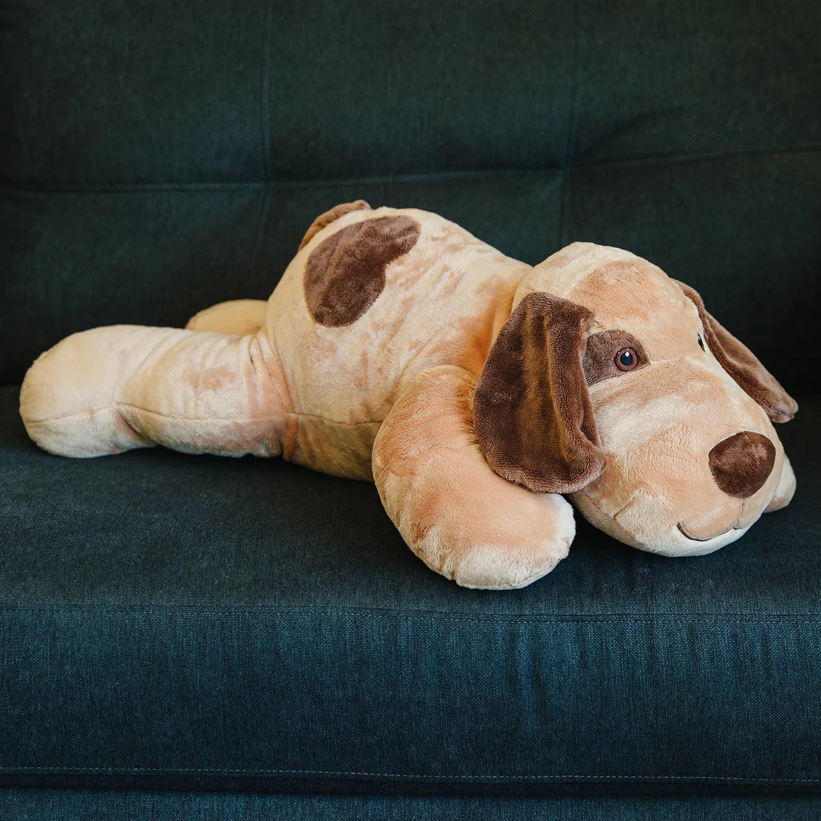 Lou the Weighted Lap Dog