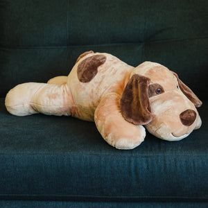Lou the Weighted Lap Dog