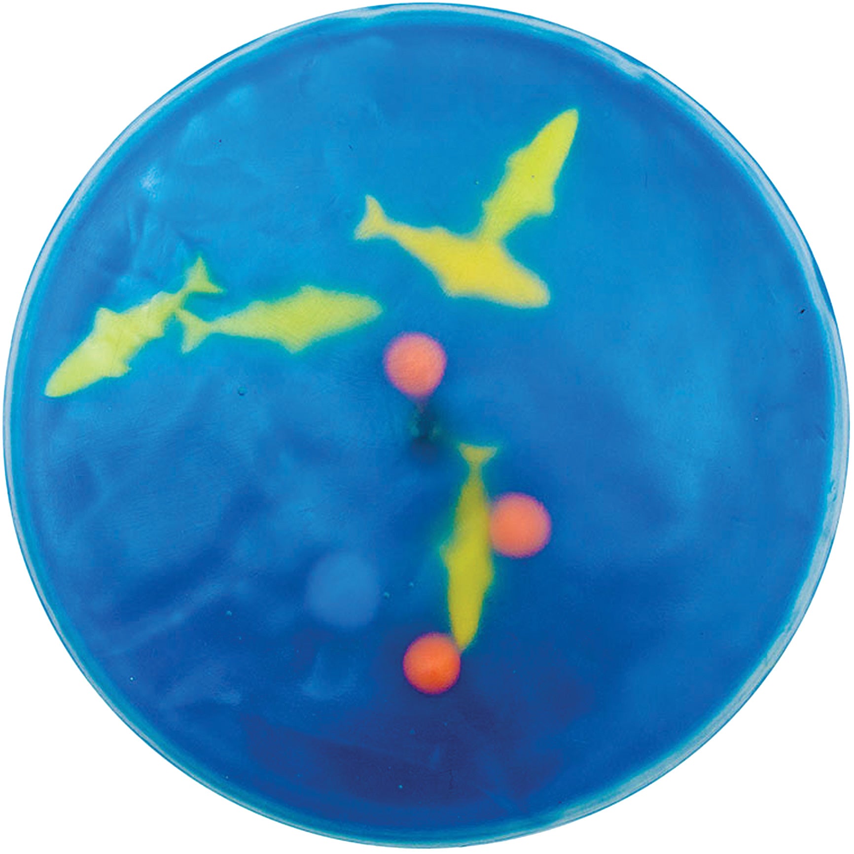 Squishy Gel Cushion - Fishy: Blue and transparent plastic.