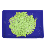 Tray for Sand and Putty