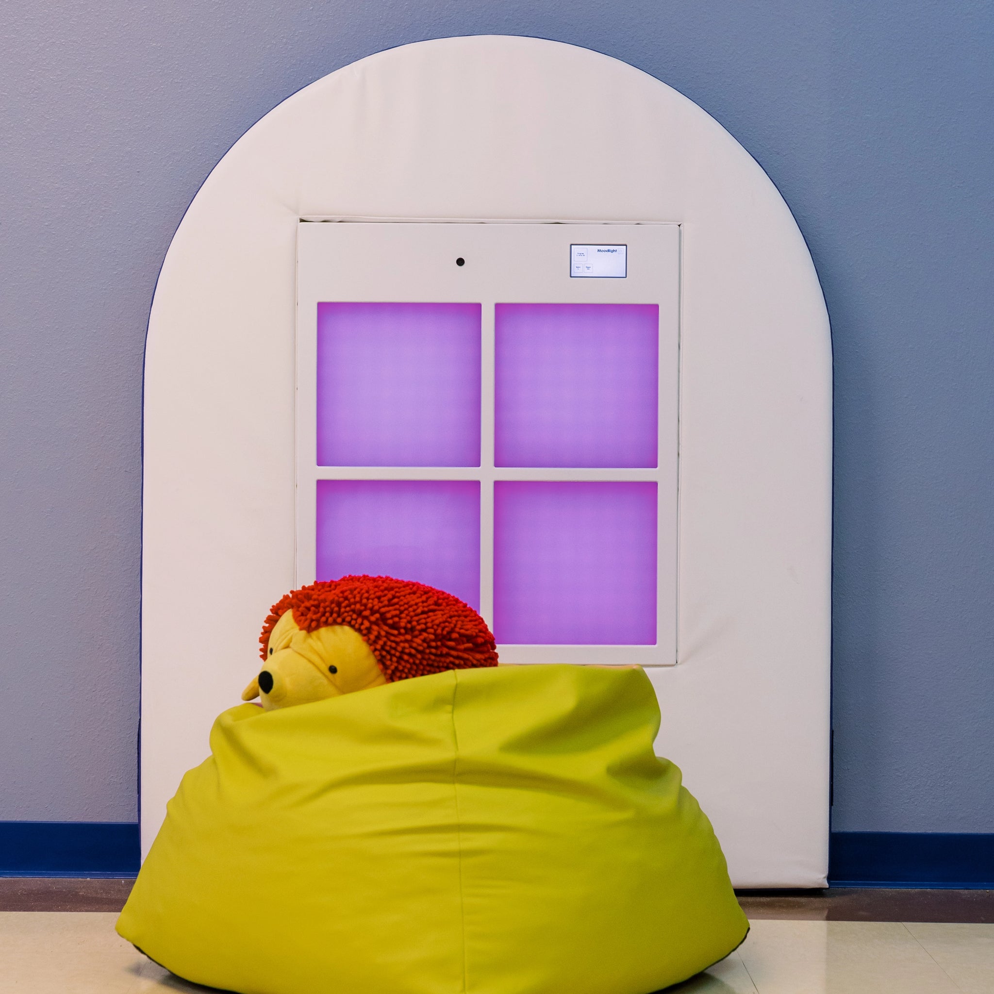 Harry the Sensory Hedgehog