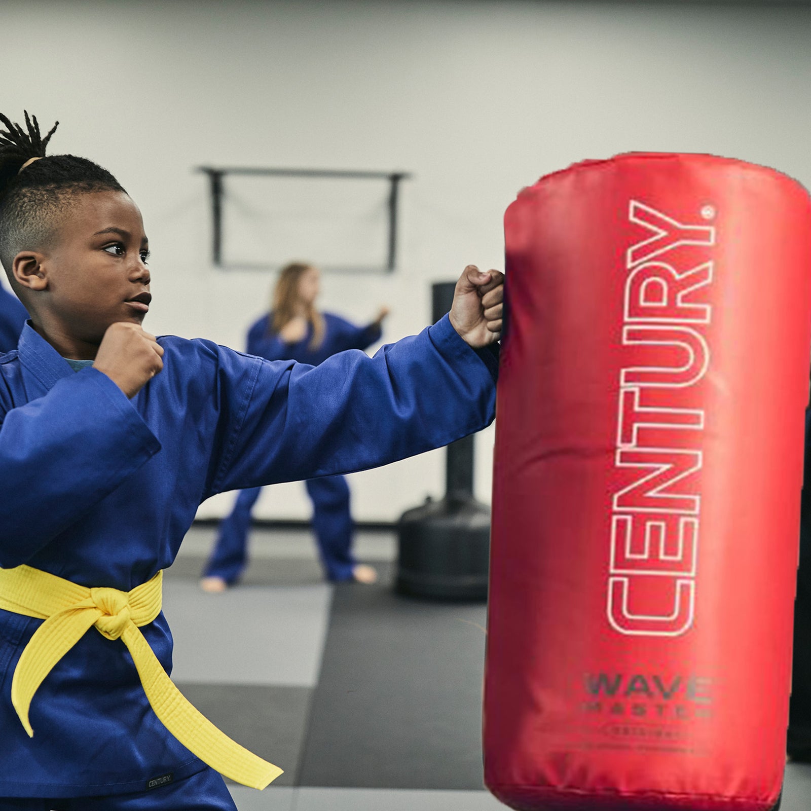 Wavemaster Punching Bag and Gloves