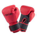 Wavemaster Punching Bag and Gloves