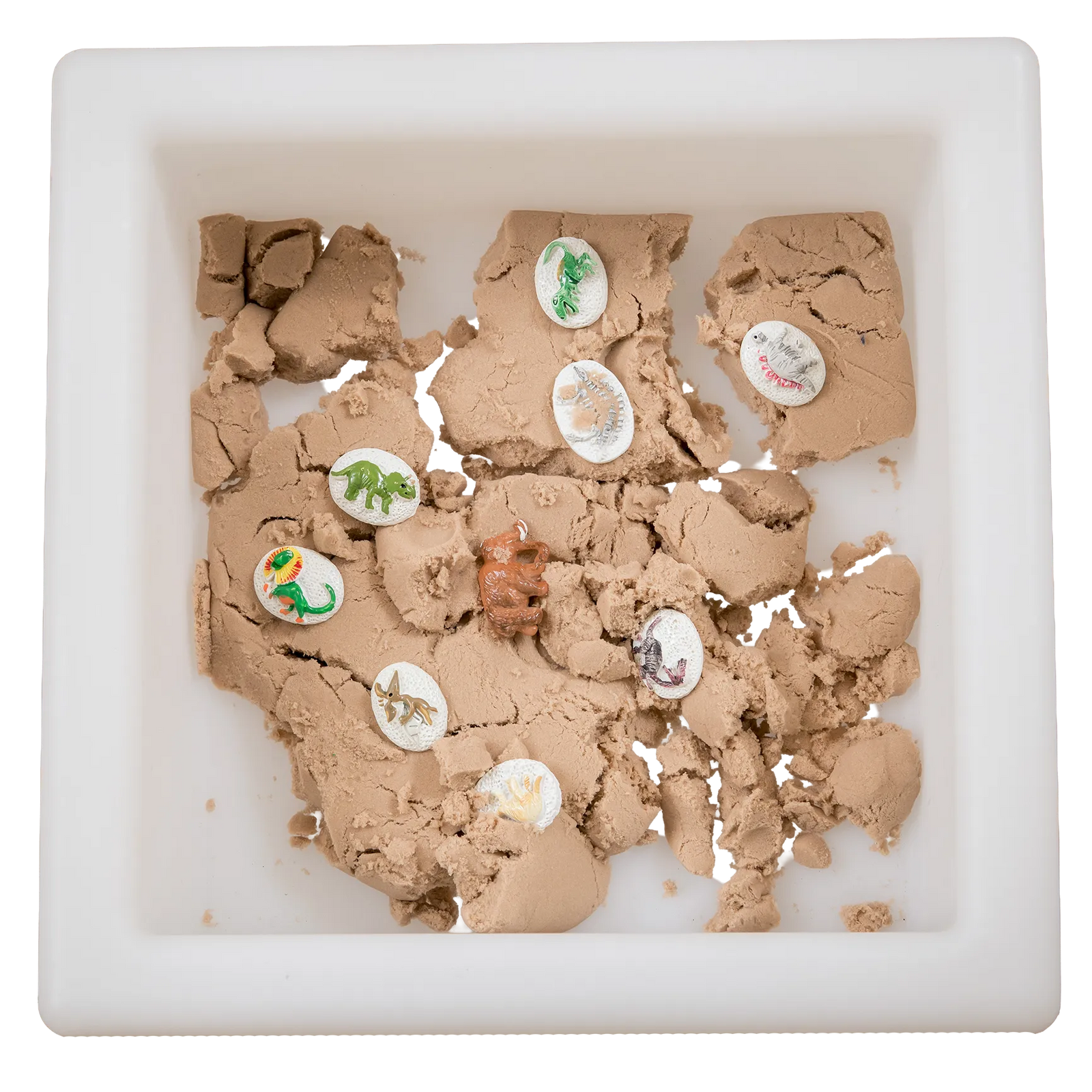 Weighted Dino Sand