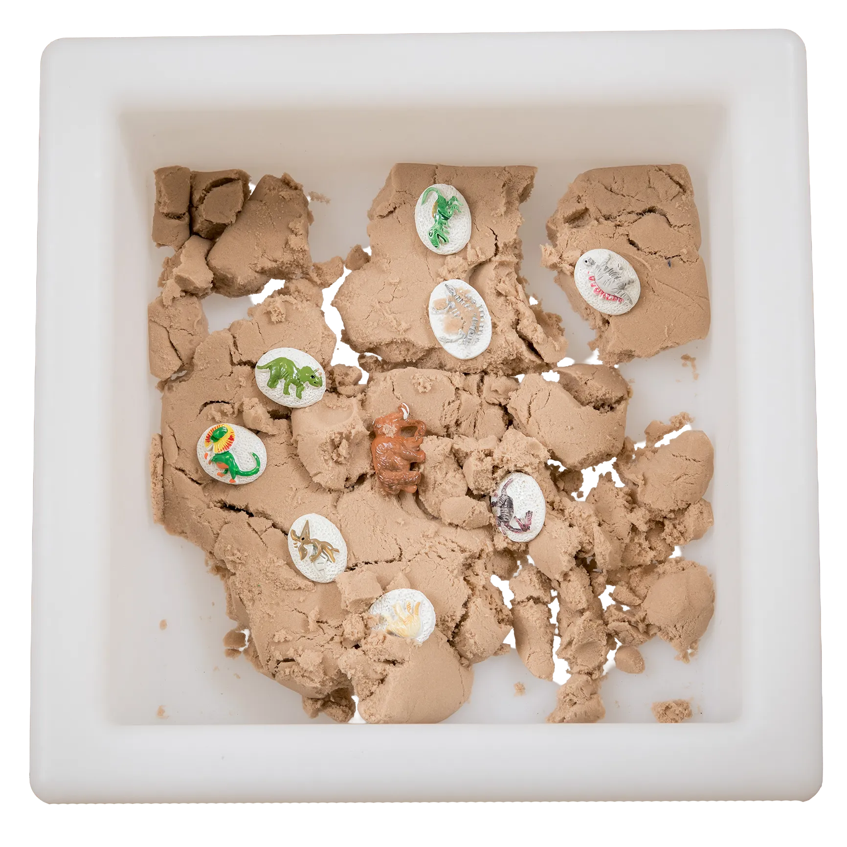 Weighted Dino Sand