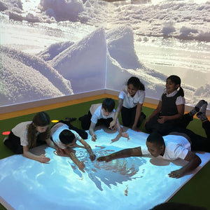 Interactive Sensory Projector (Mobile Unit)