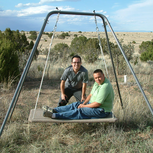 Homestand Portable Swing Frames