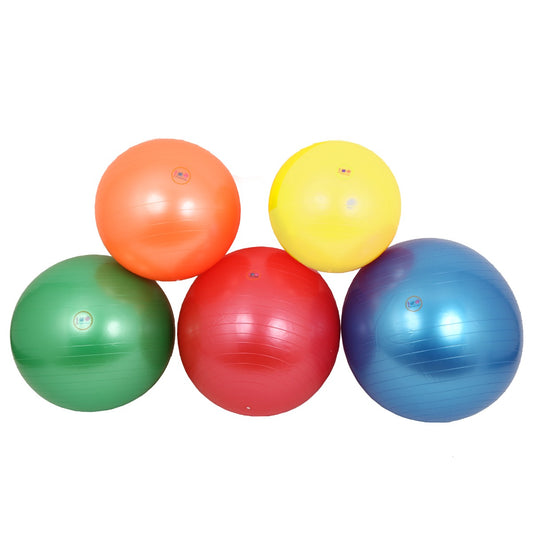 Therapy Balls in the colors yellow, green, red, blue and orange