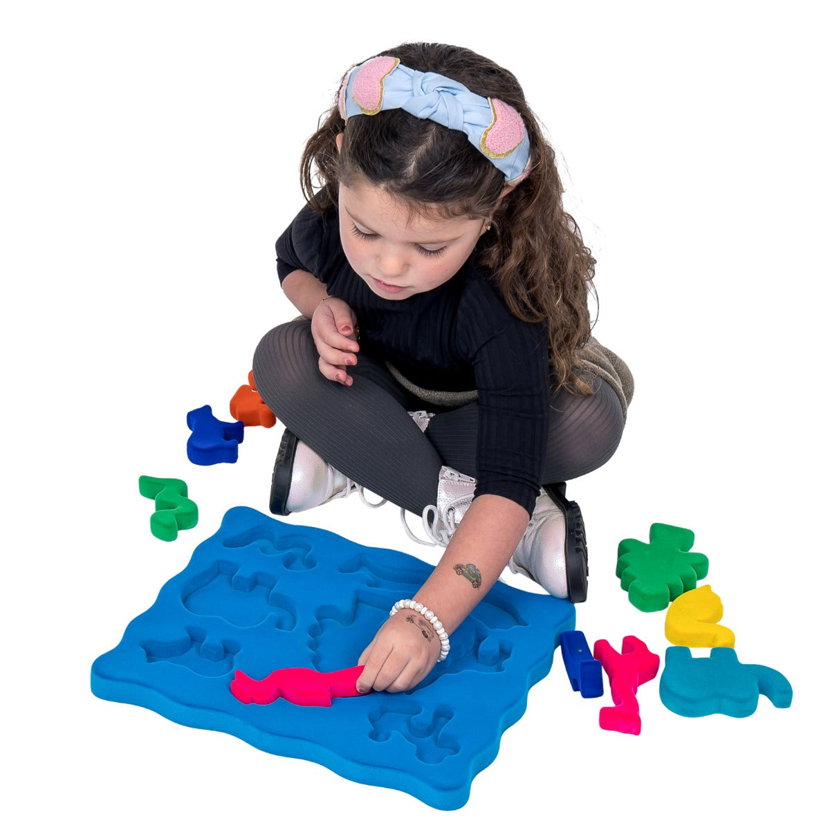 Animal Shape Sorter