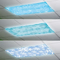 Blue Light Filters featuring three seasonal designs: winter, spring/summer and fall