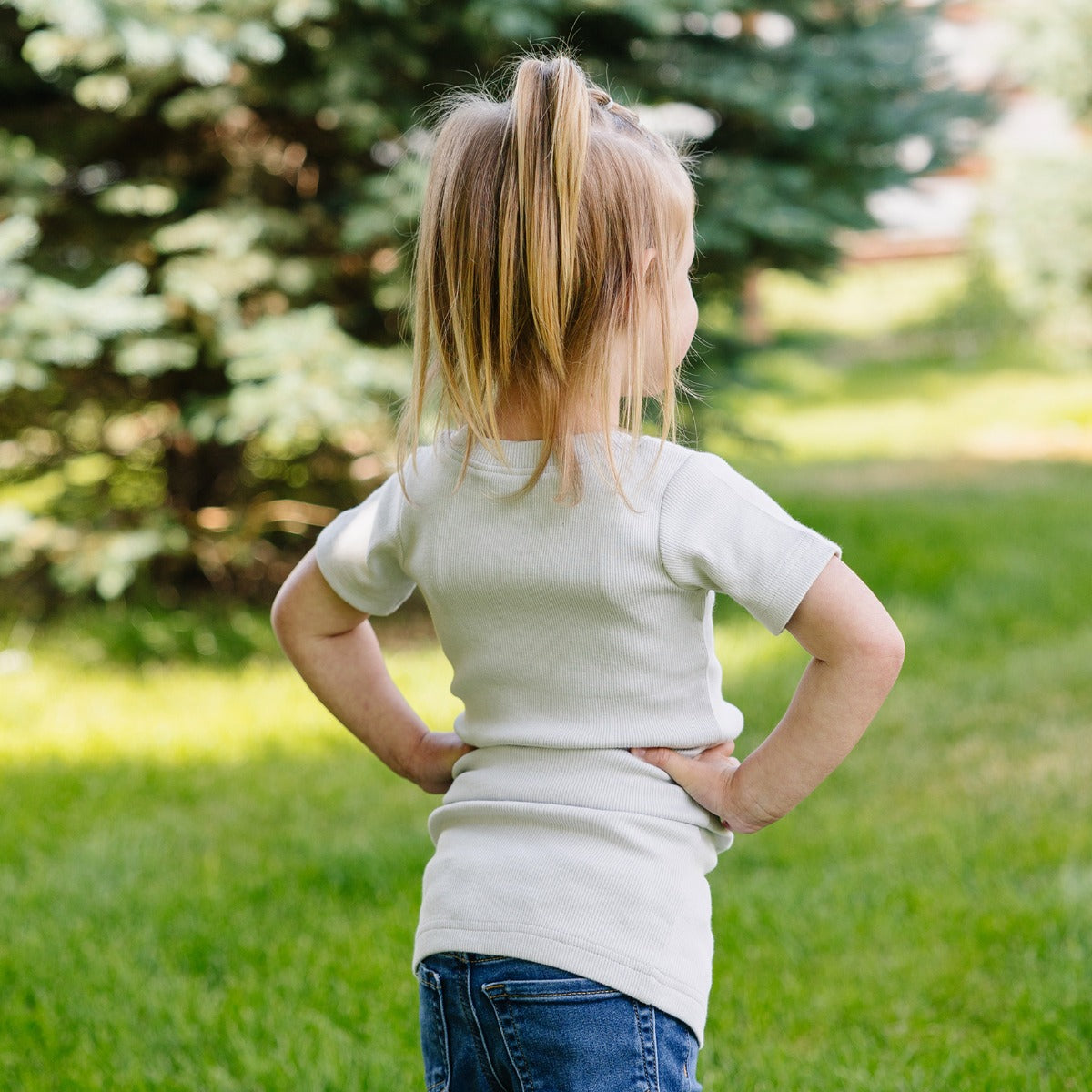 Ribbed Hug Tee, Short and Long Sleeves