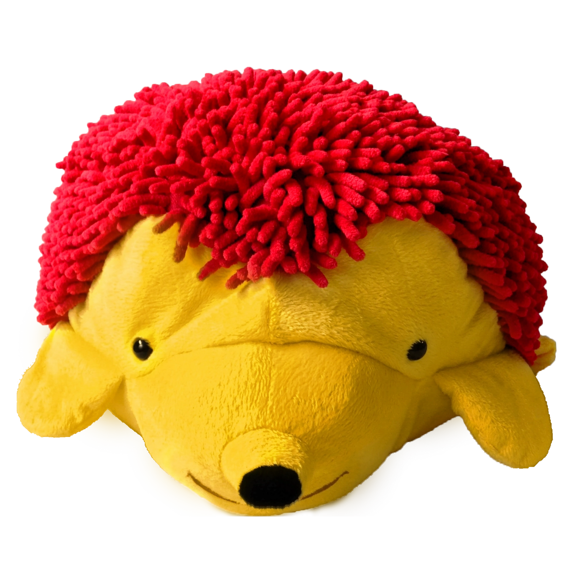 Harry the Sensory Hedgehog