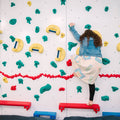 Adaptive Climbing Wall