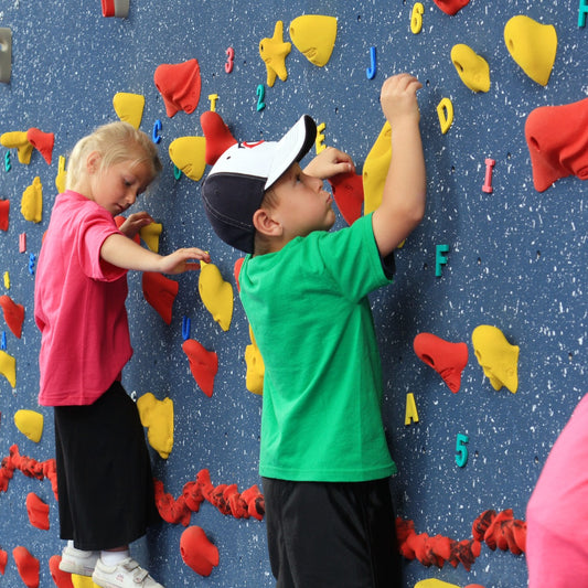 Wee Kidz Traverse Climbing Wall