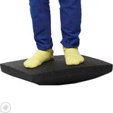 Move N Rock Study Kit