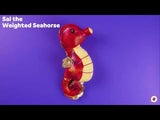 Sal the Weighted Seahorse
