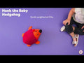 Hank the Baby Hedgehog - Weighted Plushie