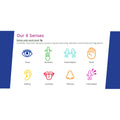 List of our 8 senses