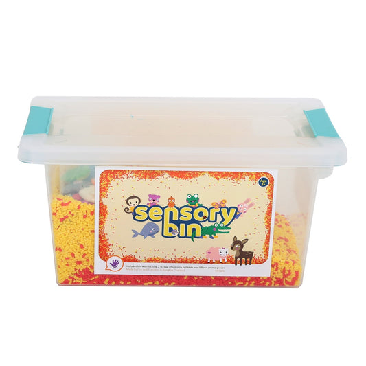 Sensory Bin