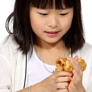 Discovery Putty® - Dino Dig