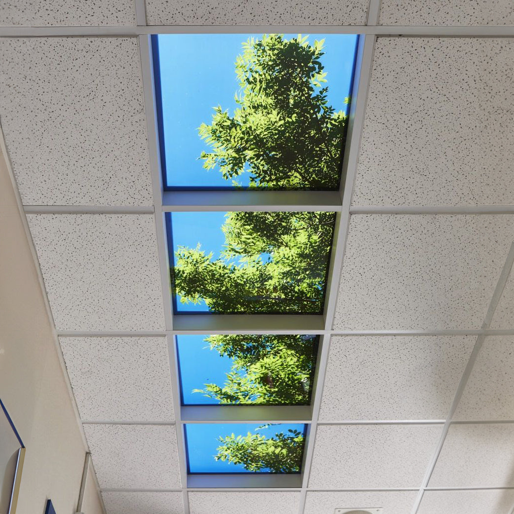 Spring LED Ceiling Lights