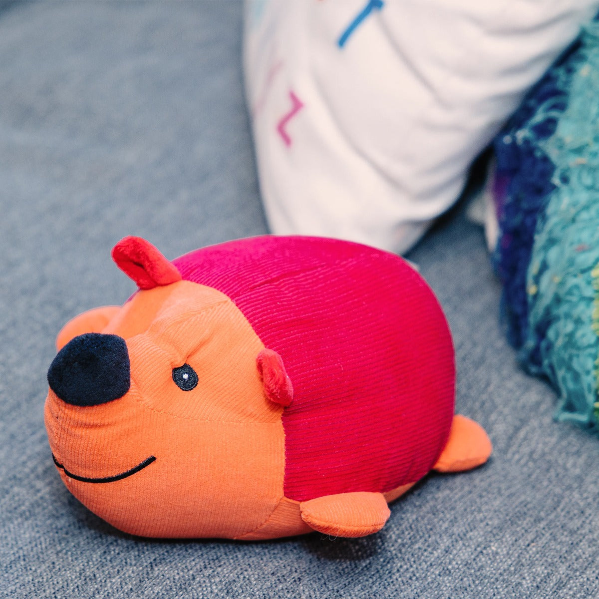 Hank the Baby Hedgehog