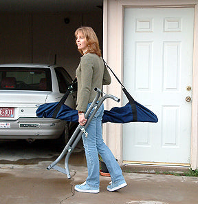 Homestand Portable Swing Frames
