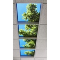 Spring Ceiling Light Filters