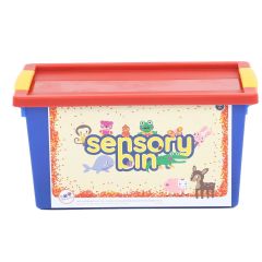 Sensory Bin