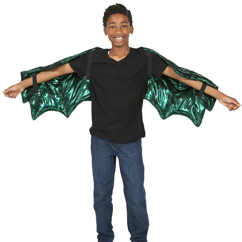 Weighted Dragon Wings