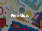 Fine Motor