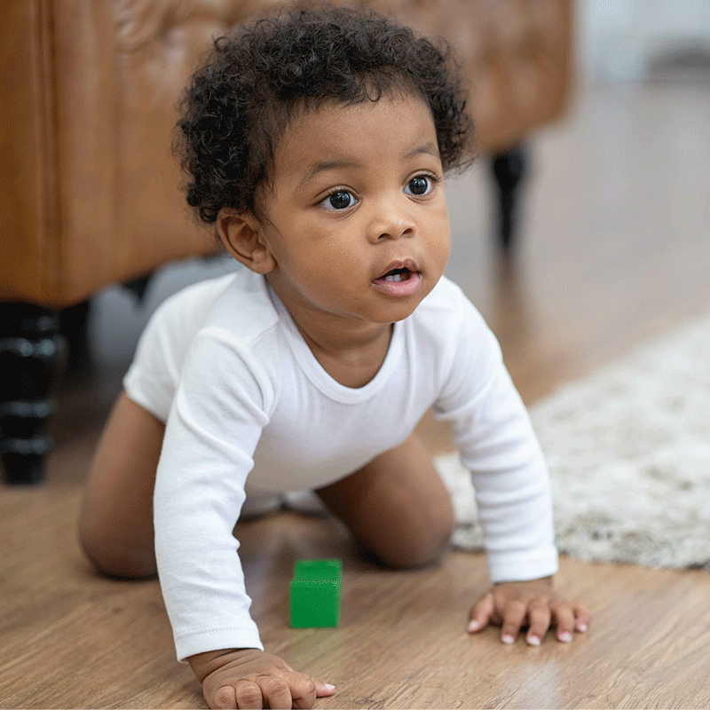 5 Reasons Crawling Is Important
