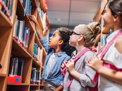 Library Sensory Rooms